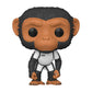 Funko Pop Baby Pogo (1119)