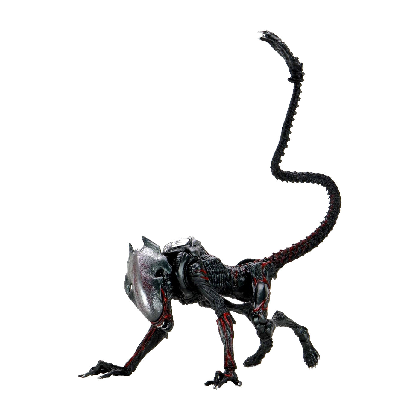Alien Night Cougar